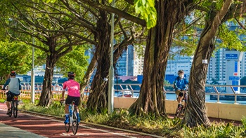 The cycling track in Tsuen Wan Riviera Park forms the Tsuen Wan Waterfront Section of New Territories Cycle Track Network. The cycle trail is about 60 km long, it starts from Tuen Mun in the west and reaches as far as Ma On Shan in the east.
